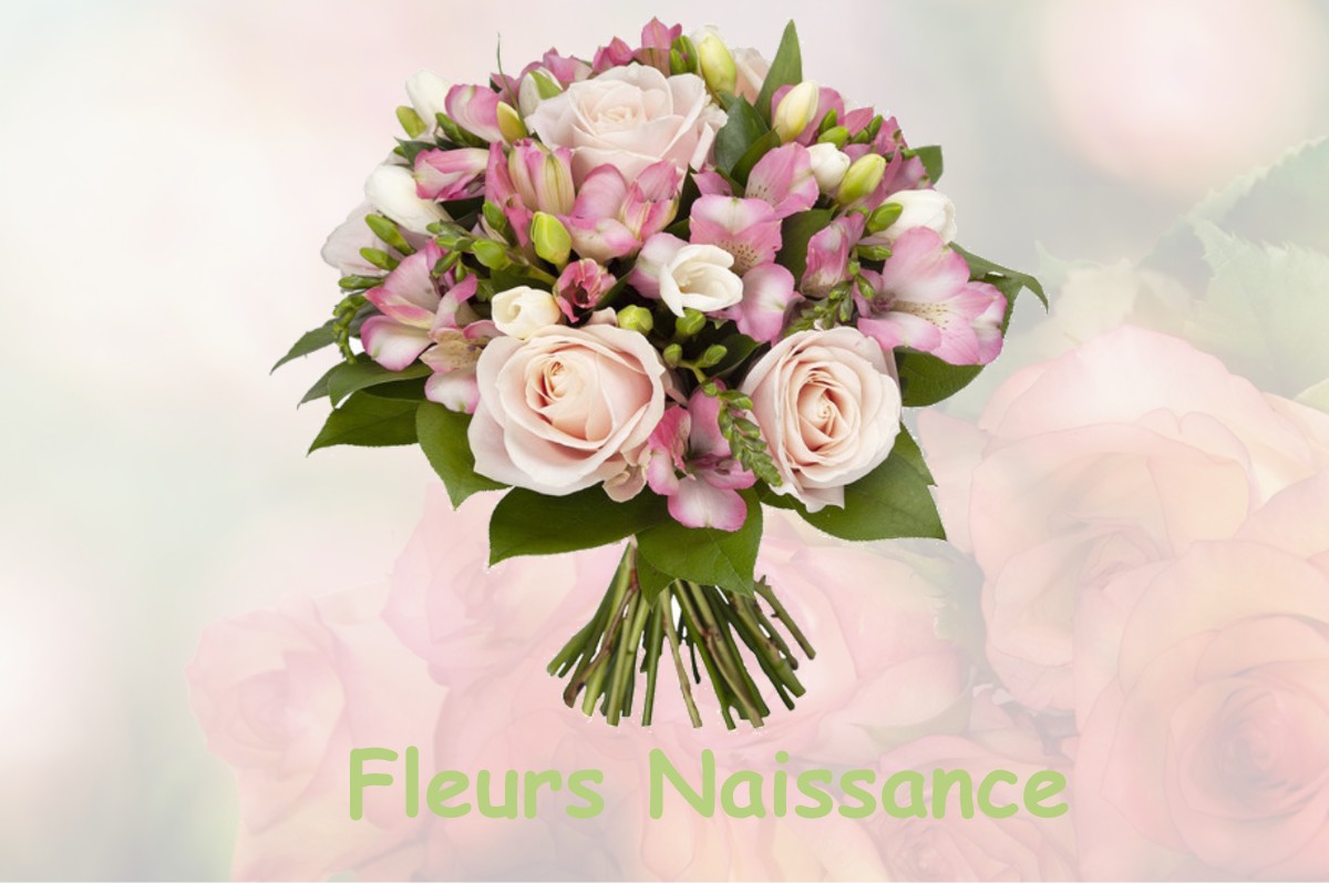 fleurs naissance BLAINCOURT-SUR-AUBE